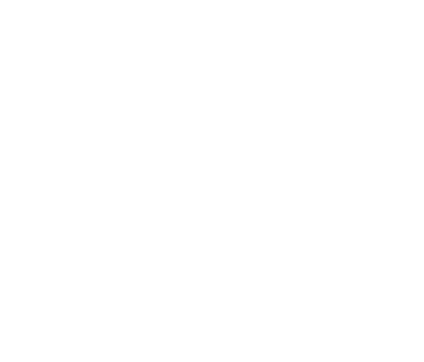 Company logo image Footer