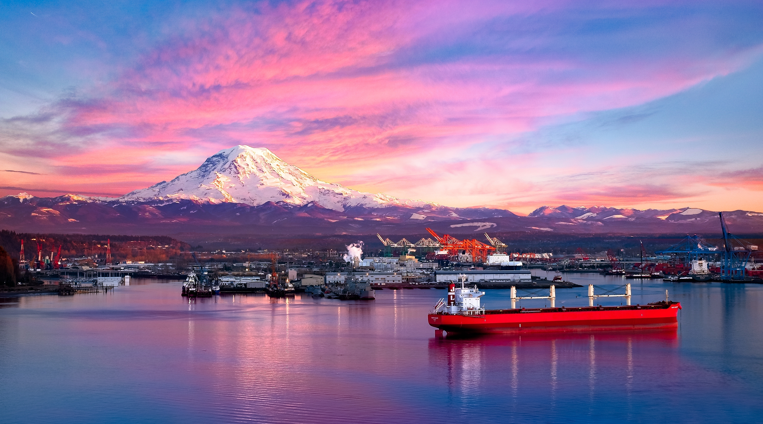 shutterstock_2384416971 1.png