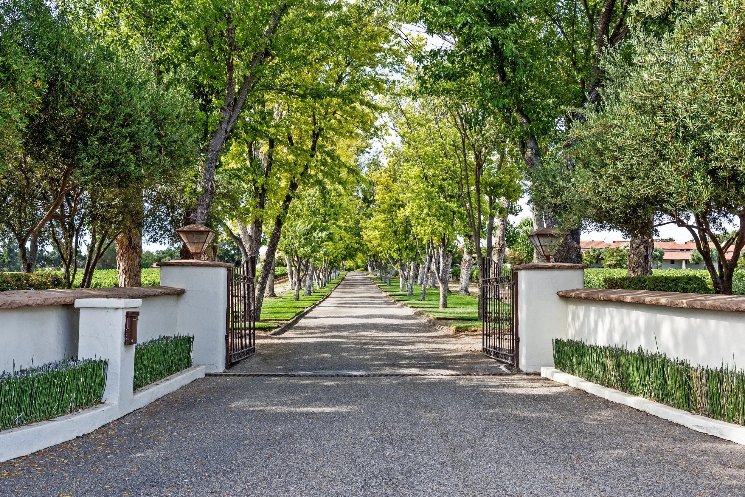 Santa Ynez