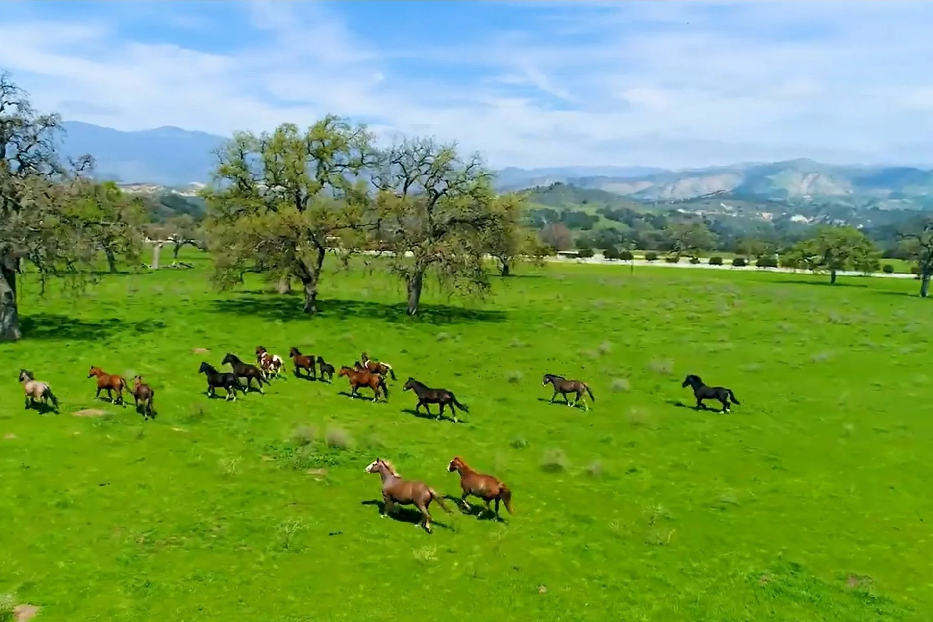 Alisal Ranch