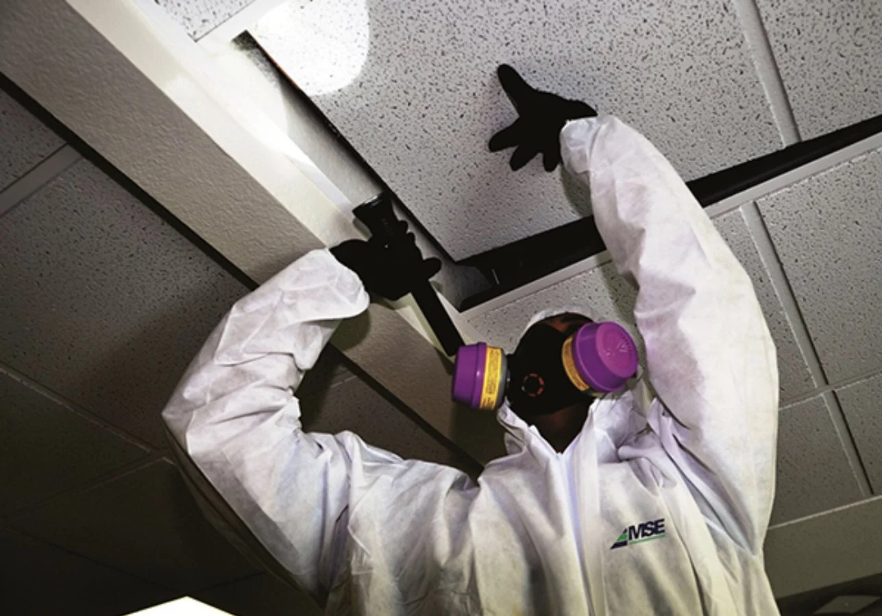 Mold Inspection Chicago Mold Testing Chicago Mold Symptoms Chicago