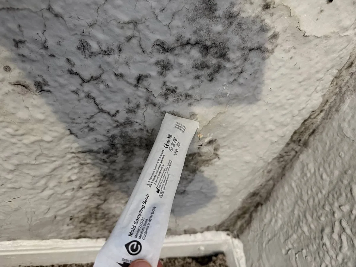 Surface mold swab sampling during professional mold inspection in a Chicago home