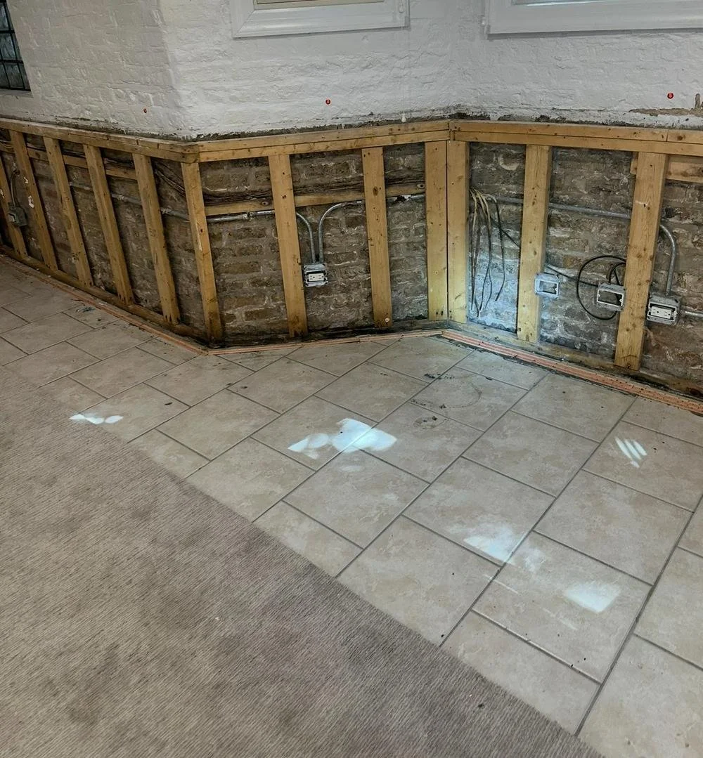 Mold inspection in Chicago IL basement