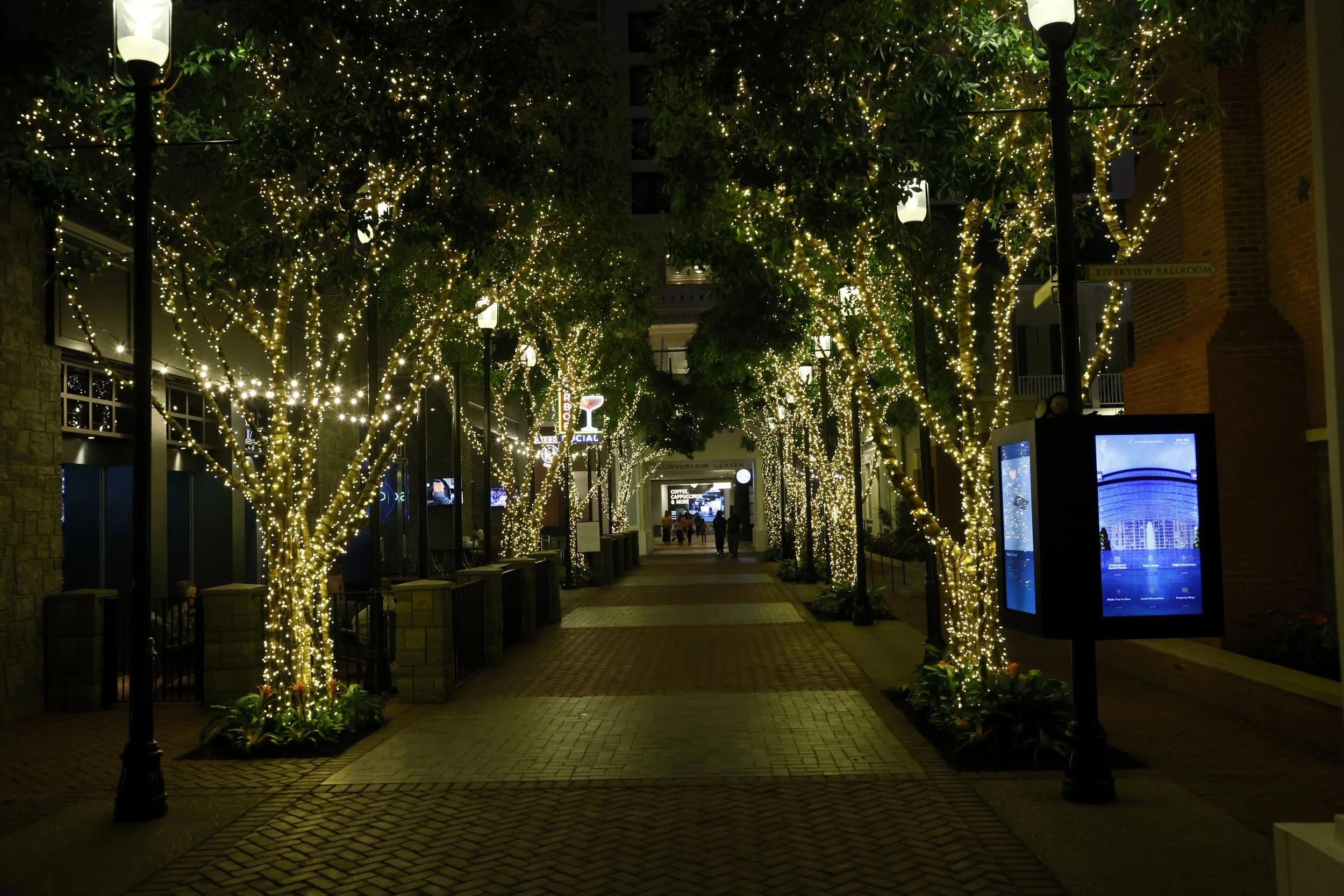 Day1 - Environment & Opening - Timacheff - 0018.JPG