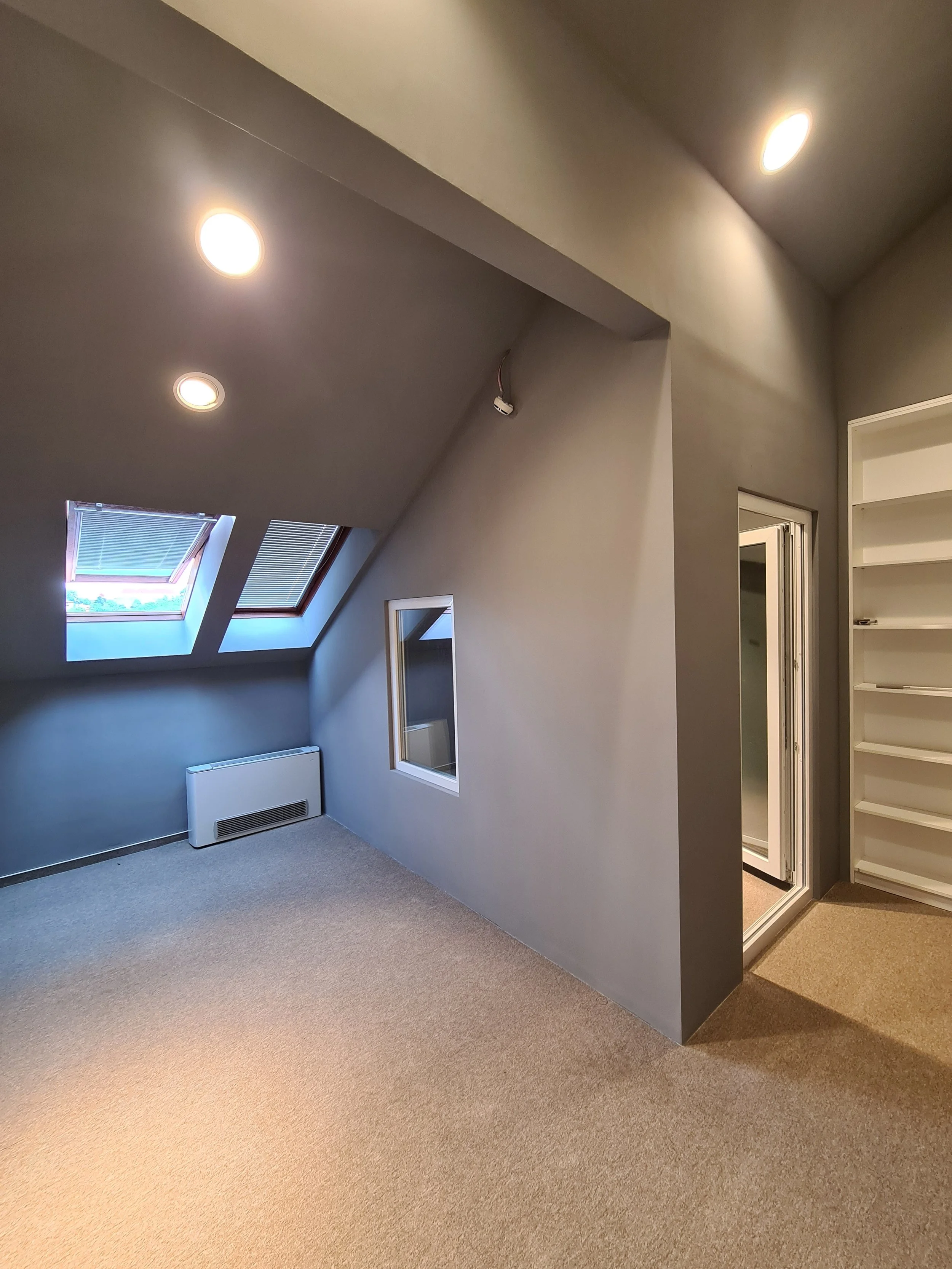 Empty room with sloped ceiling, skylights, beige carpet, gray walls, and built-in white shelves.