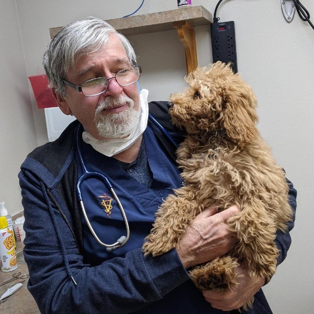 Carlyle Animal Hospital