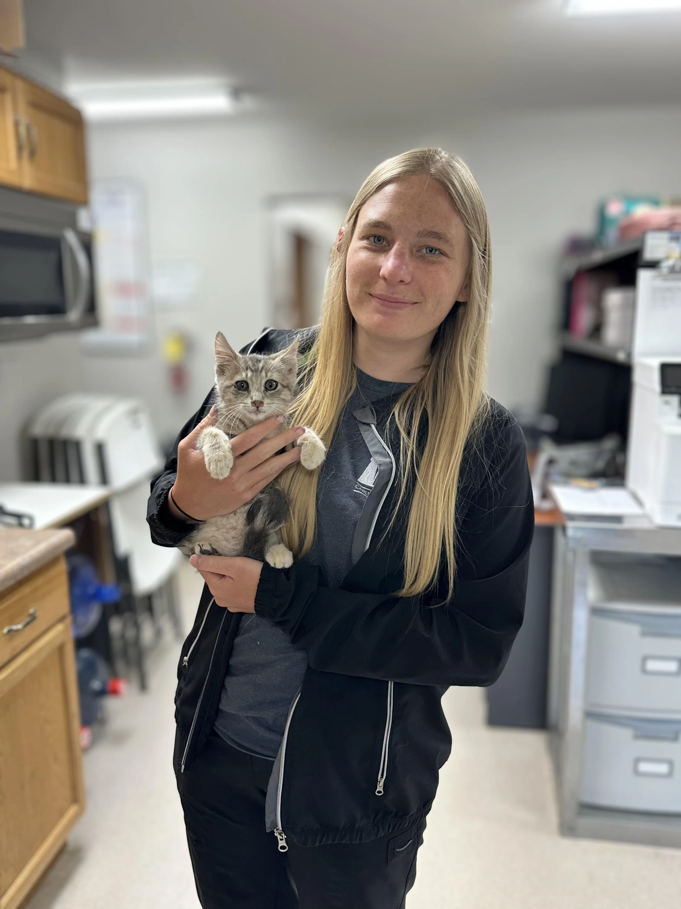 Our Team — Carlyle Animal Hospital