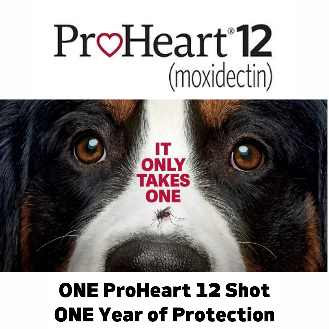 Proheart Protection Popular Products — Carlyle Animal Hospital