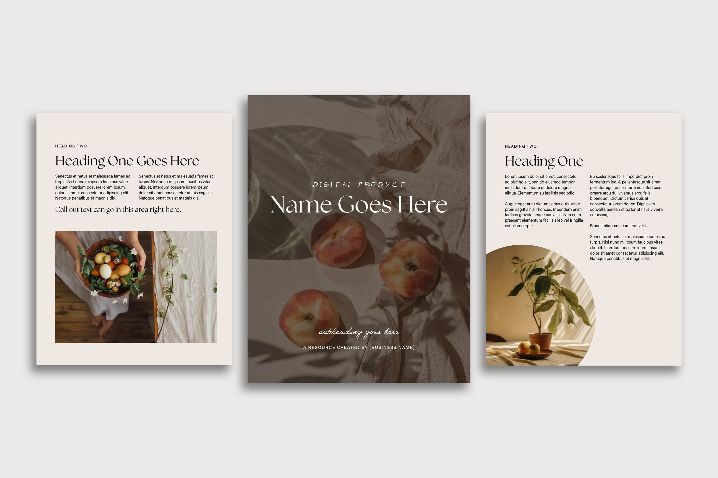 Neutral_DigitalGuideandWorkbookAdobe-Mockup02.jpg
