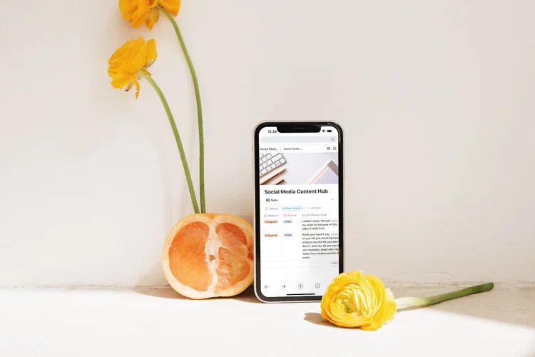 Social Media Content Hub Notion Template — Creative Template Shop