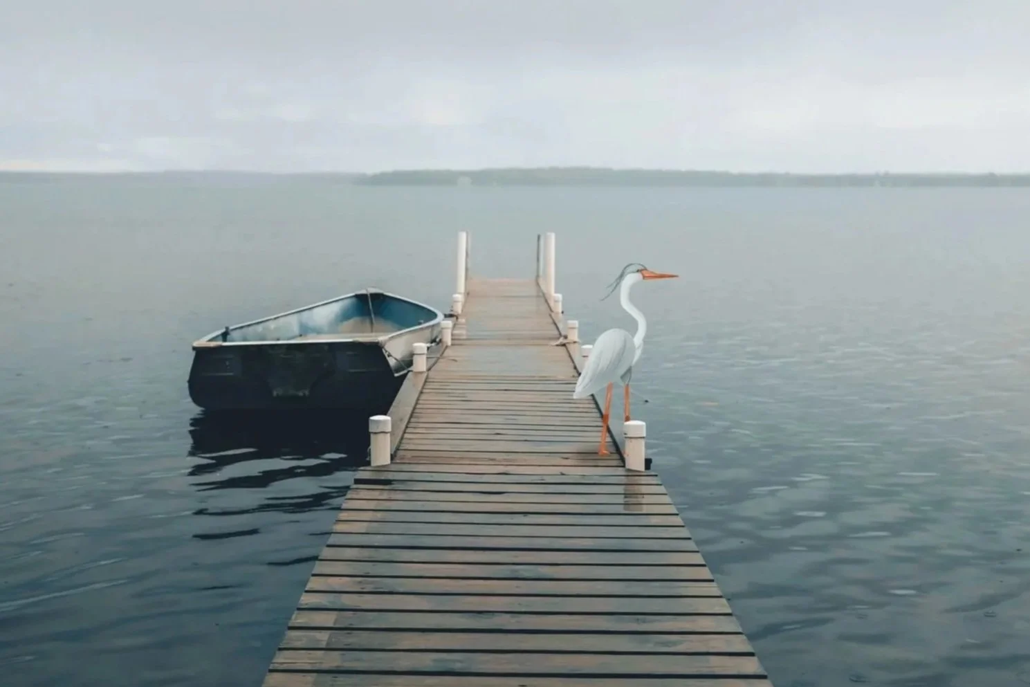 Illustration héron sur le bord de l'eau