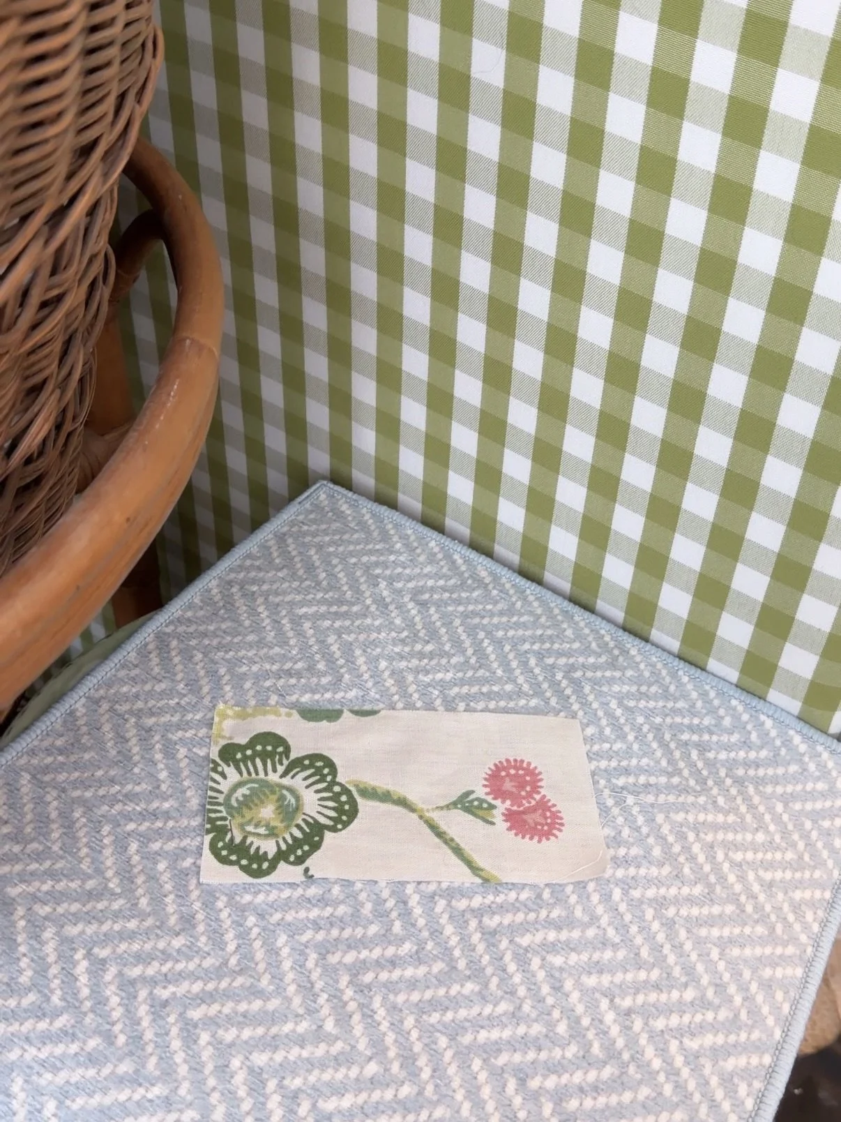 Watching February turn into Spring (!!) ❣️🌷🕊️🌼