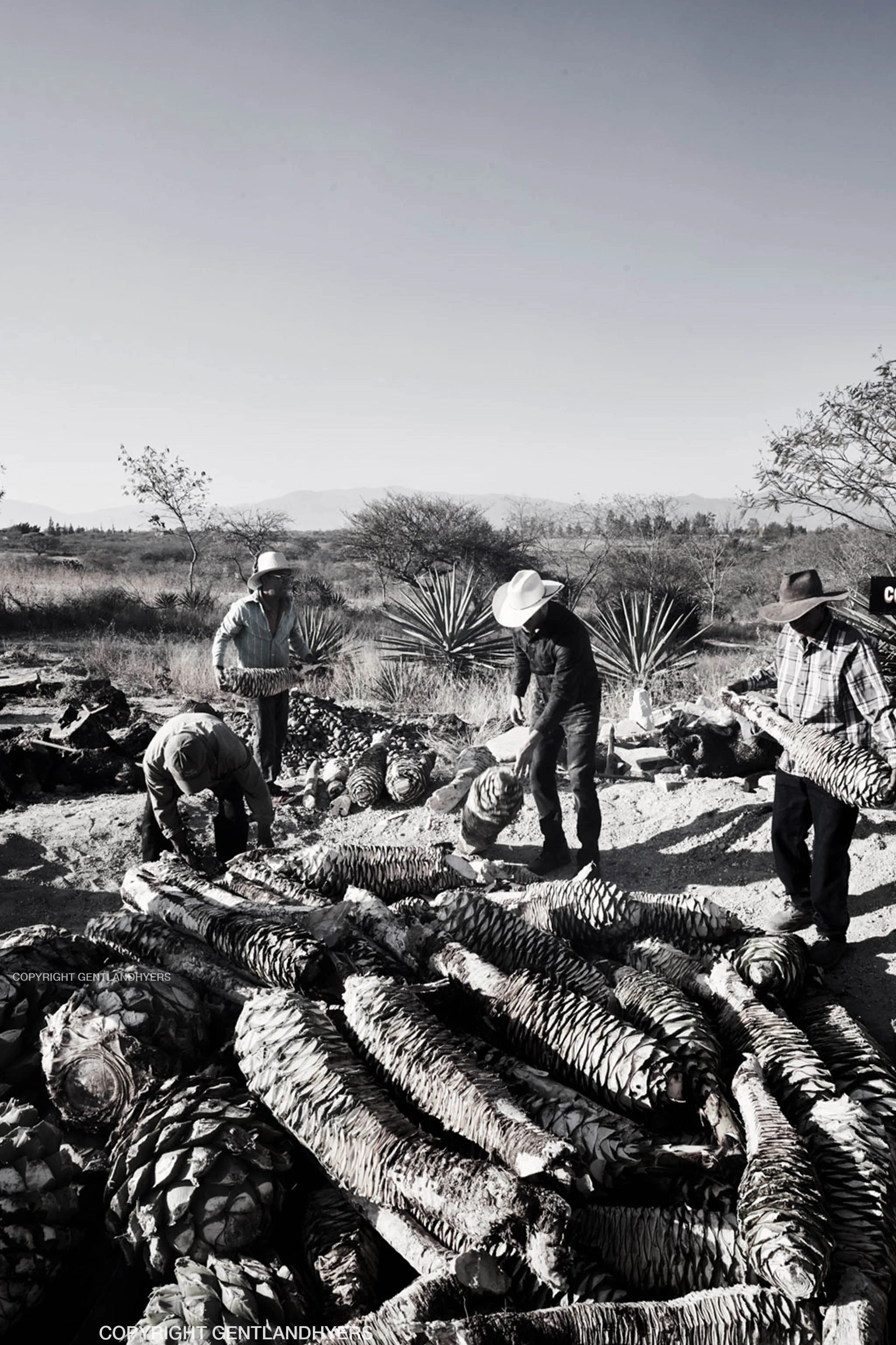 horneadaWeb copia.jpg