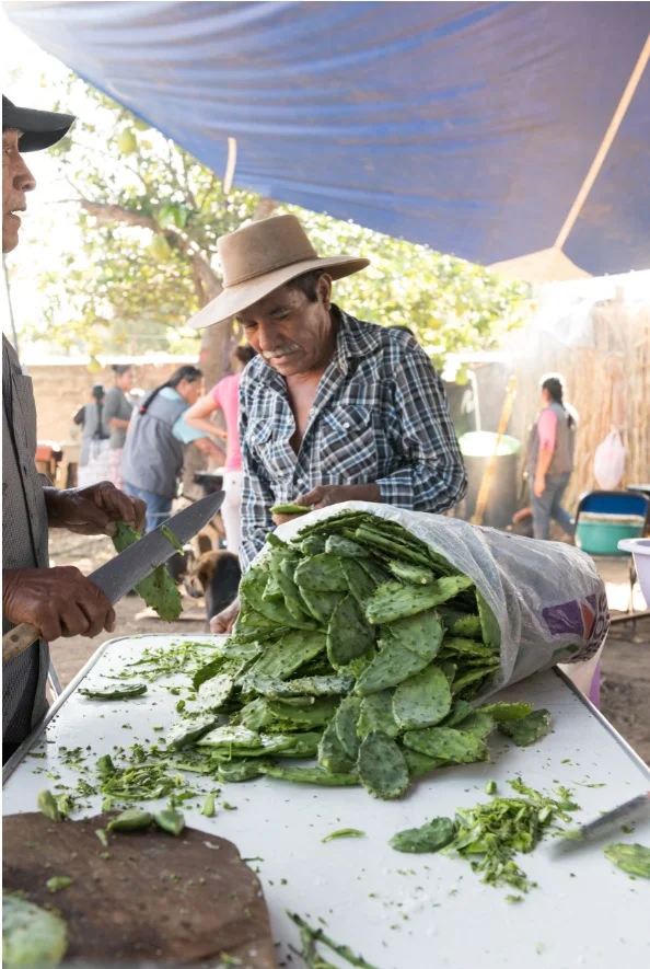 Nopales Morgan Ione Yeager.jpg
