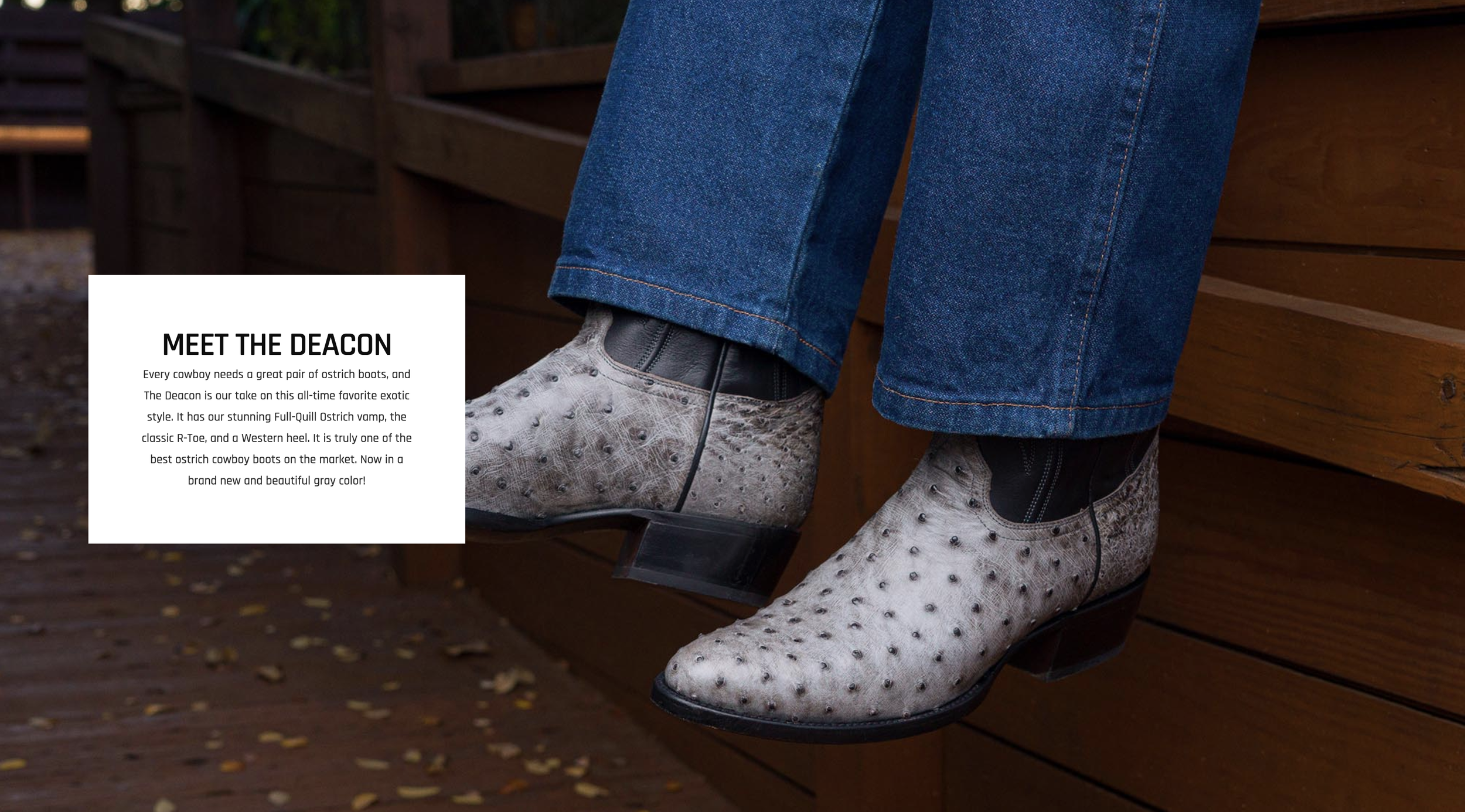 Screenshot 2025-03-21 at 11.33.47 AM.png