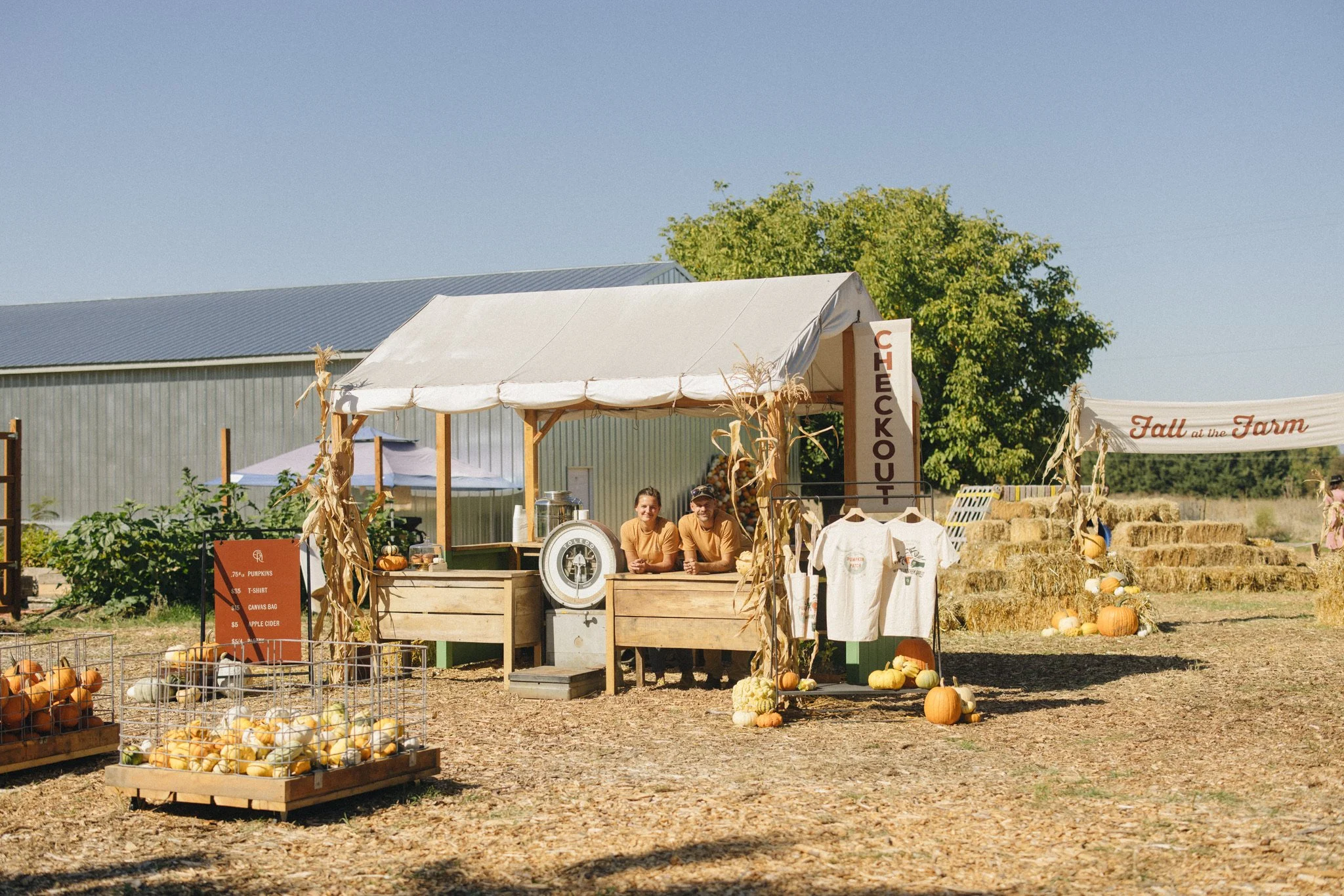 A farm stand at a fall festival with pumpkins and hay bales. There is a white canopy tent with a sign labeled 'CHECKOUT' and a woman and man behind a wooden counter, smiling. Decorations include dried cornstalks and more pumpkins in front. A sign on the left lists pumpkin prices and items for sale.