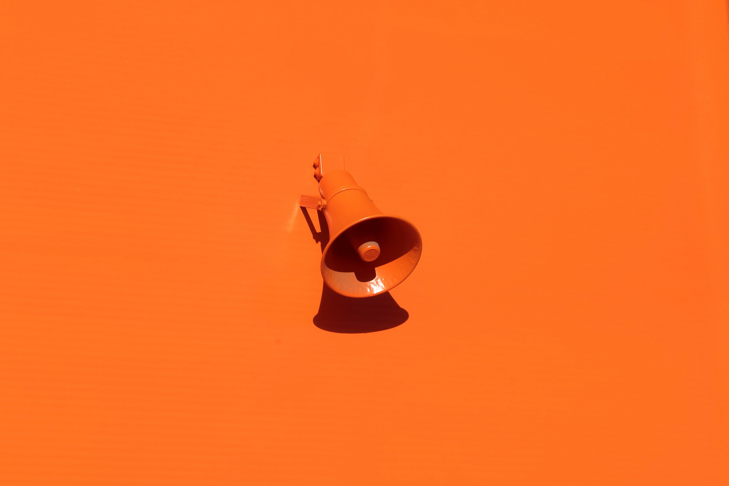 Why Businesses Need a Brand Designer