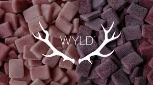 WYLD BOGO