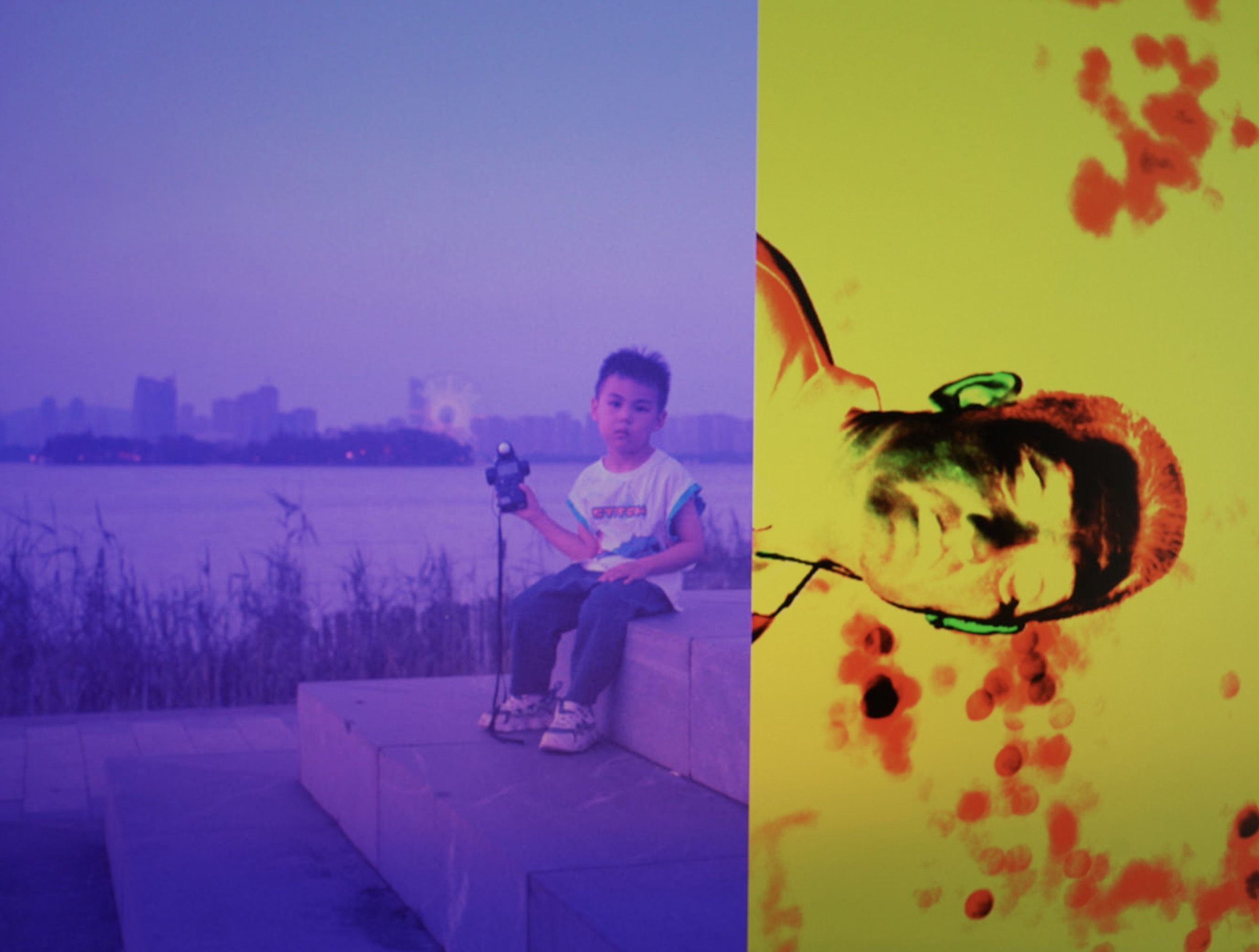 Purple Yellow Scan.jpeg