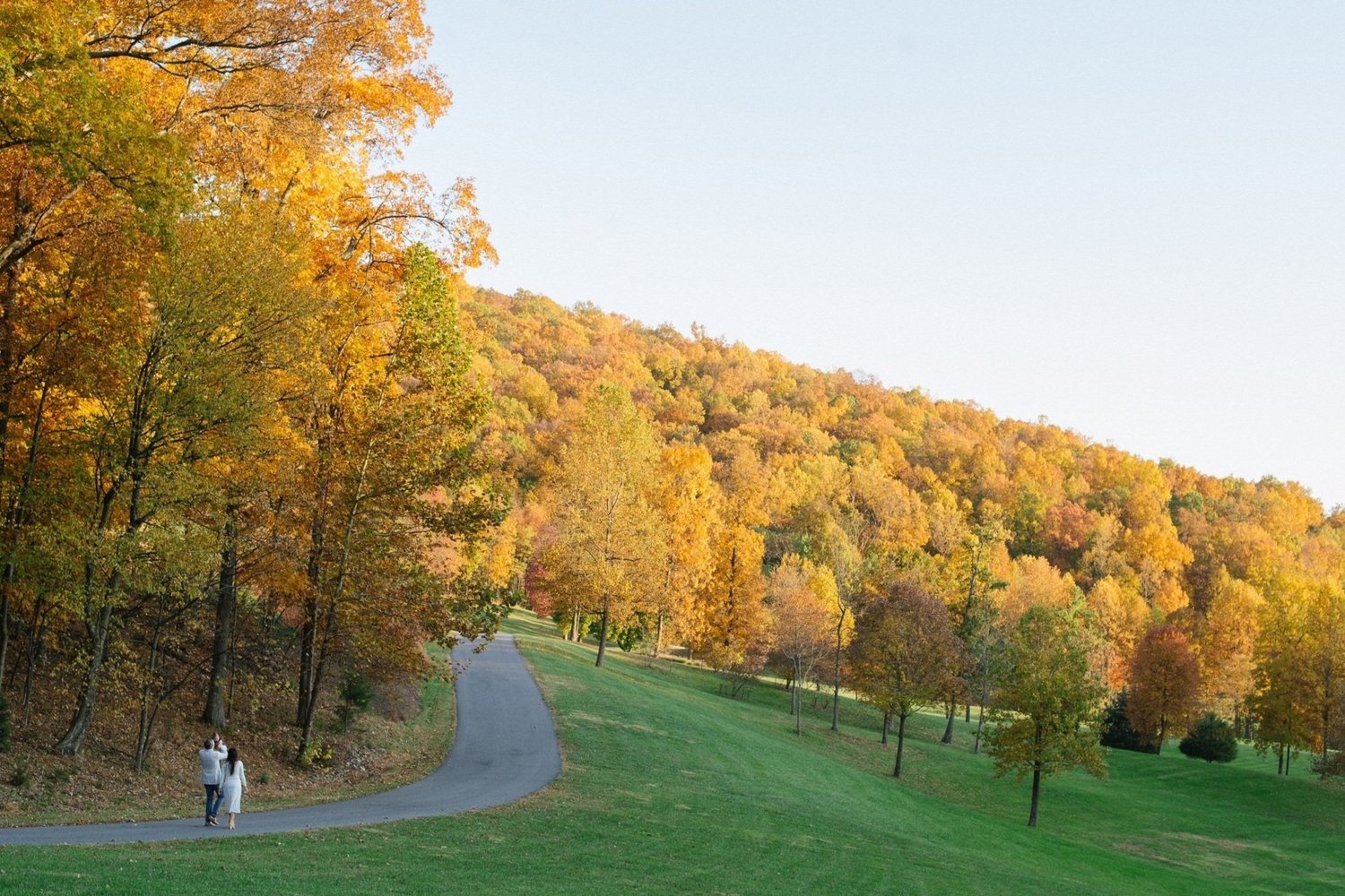 Bramblewood Estate — Home