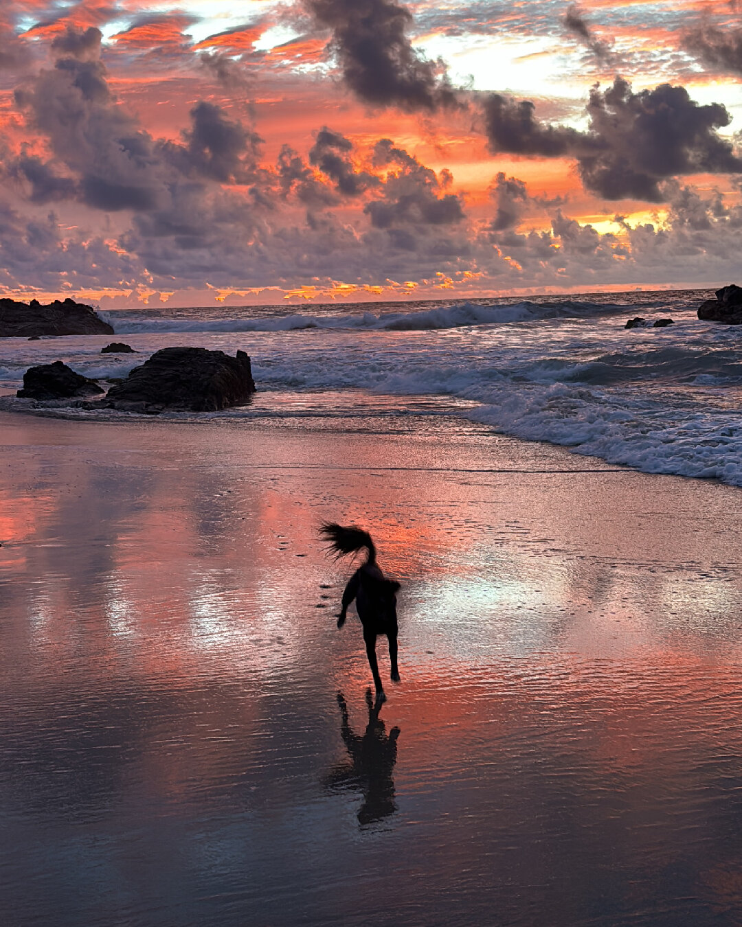 A Pet friendly space.
Discover our suites
-
Photo: @cintawatts