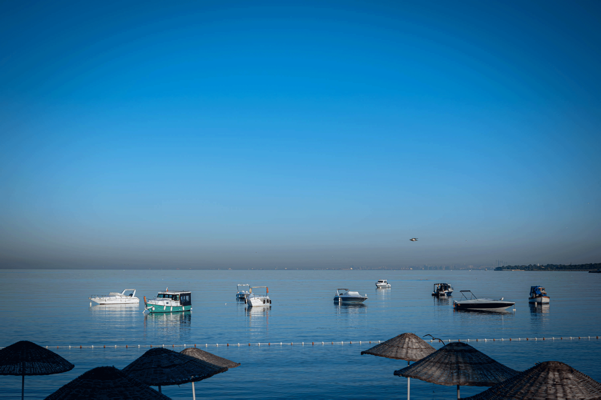 istanbul_nature_007-f.gif