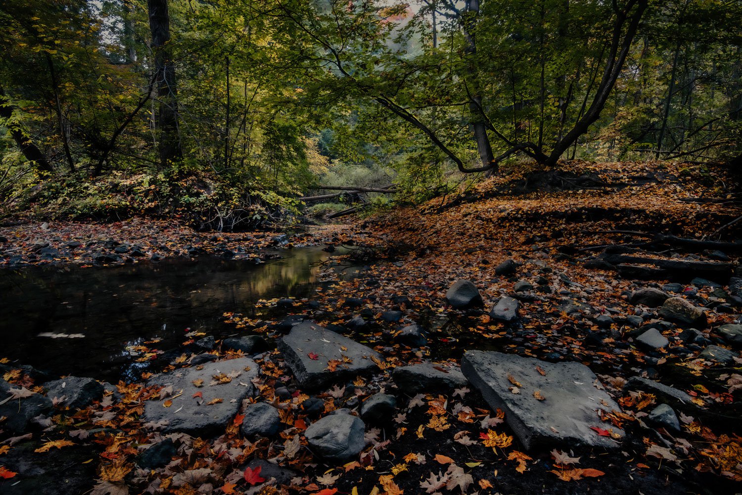 fall_in_toronto_riverbank.jpg