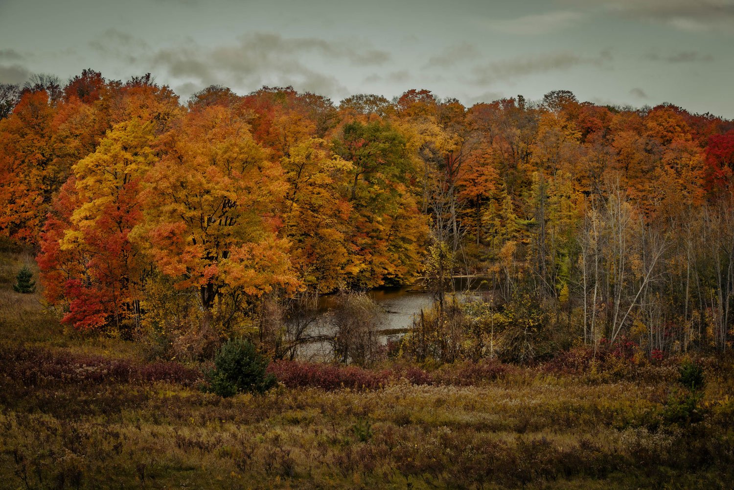 Stouffville_Nature_003.jpg