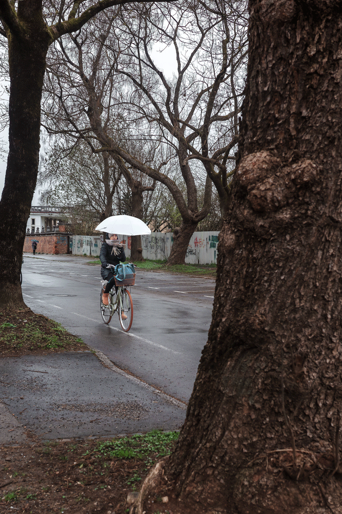 Ljubljana_cycling_rain.gif