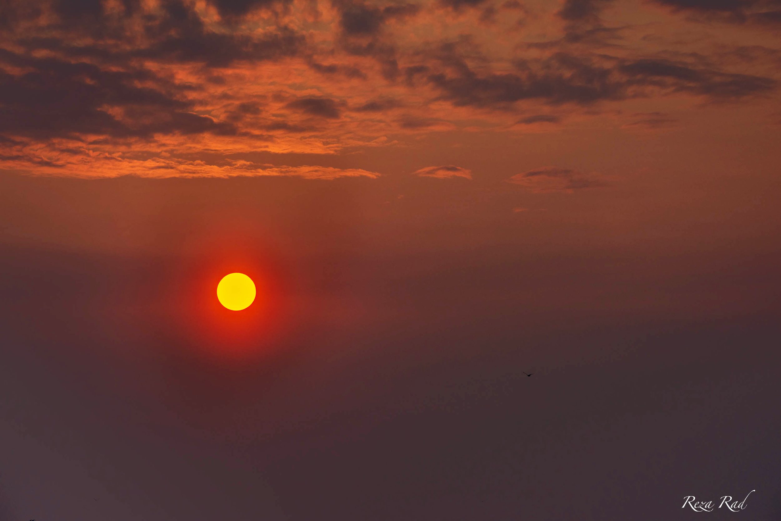 Sunrise in Toronto