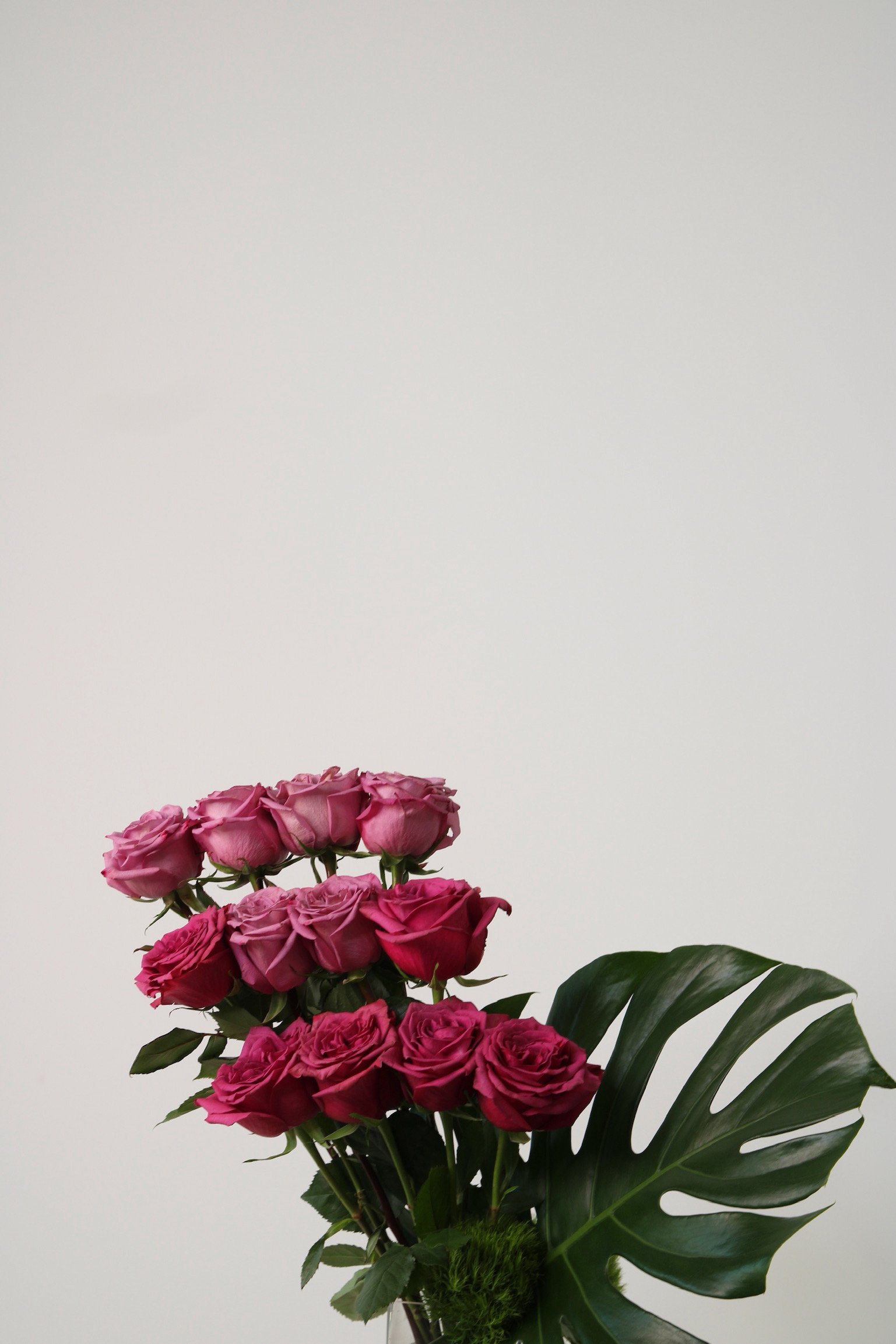 38876A27-A87A-4D12-81F6-6990BE1CFF62.jpeg