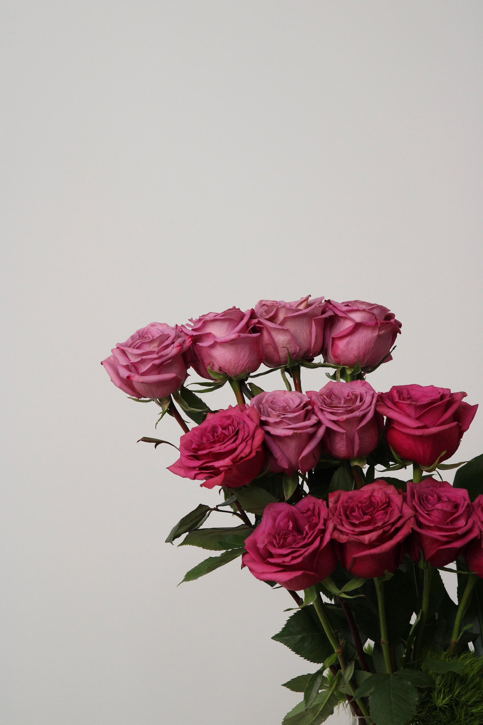B6FB13C5-6794-449A-A675-4AD126289AC6.jpeg