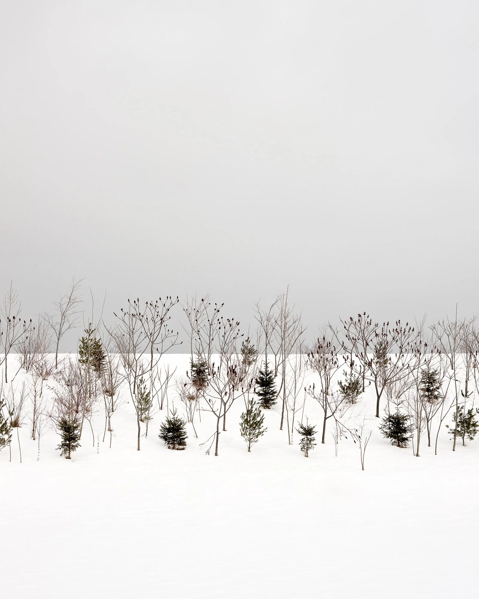 Hillside No.2