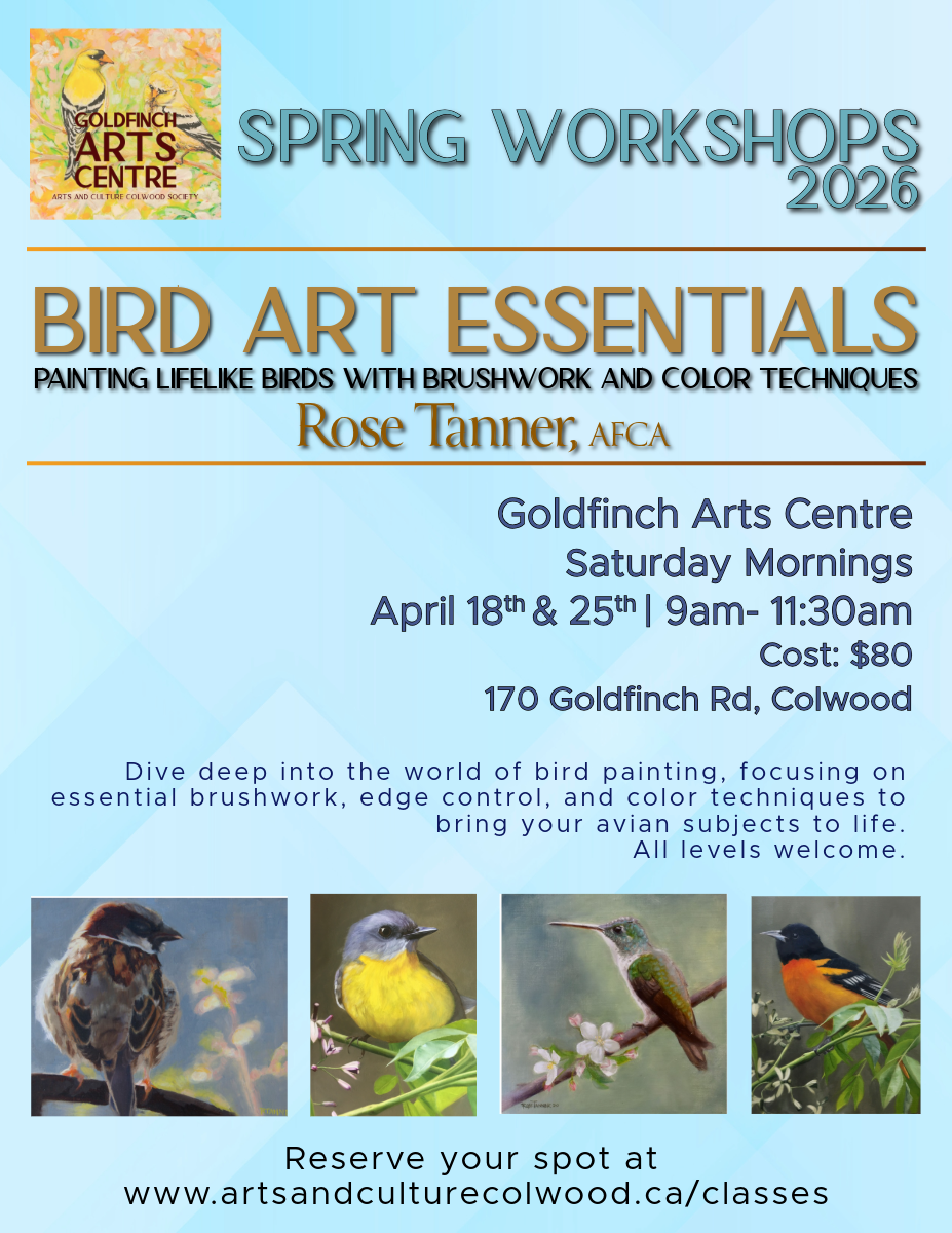 Bird Art Essentials 20260121.png