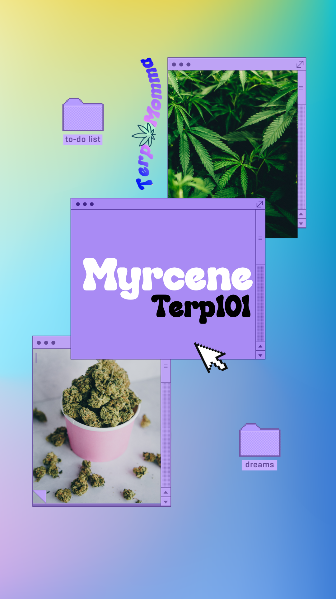 IMG_3565.png