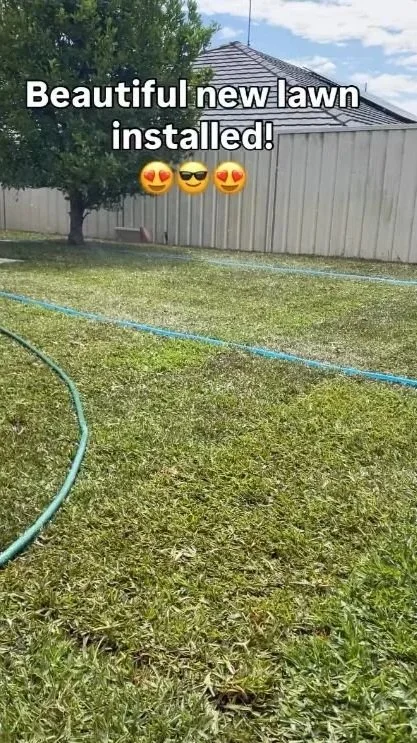 100m2 lawn installation completed in Wattle Grove