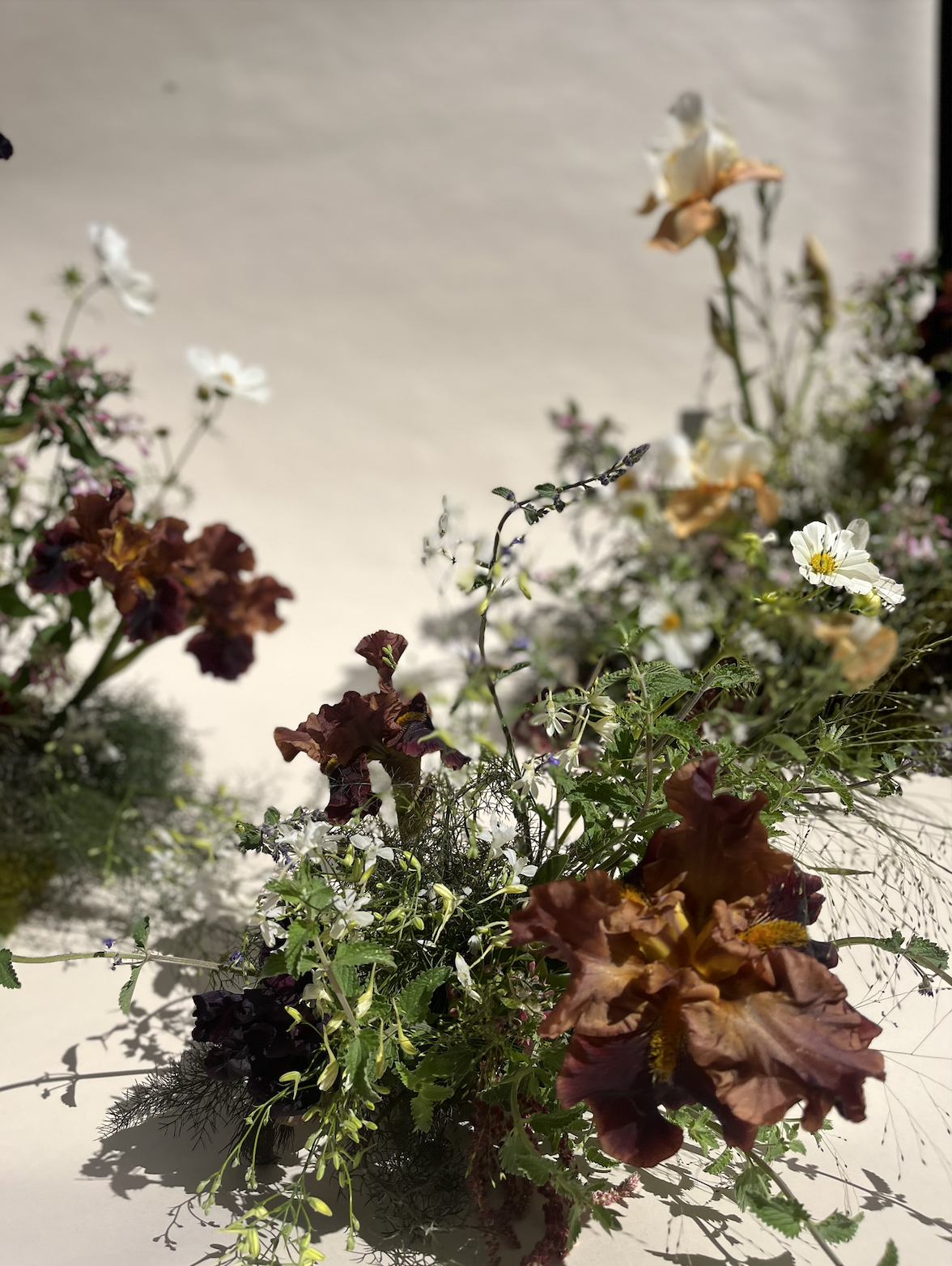 Screen Shot 2023-06-20 at 5.04.23 PM.png