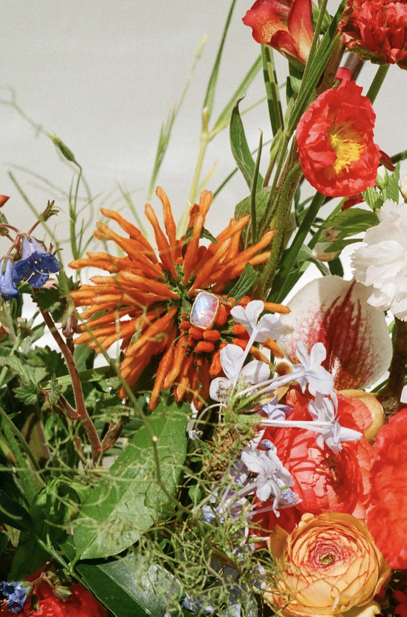 Screen Shot 2022-11-08 at 3.23.35 PM.png