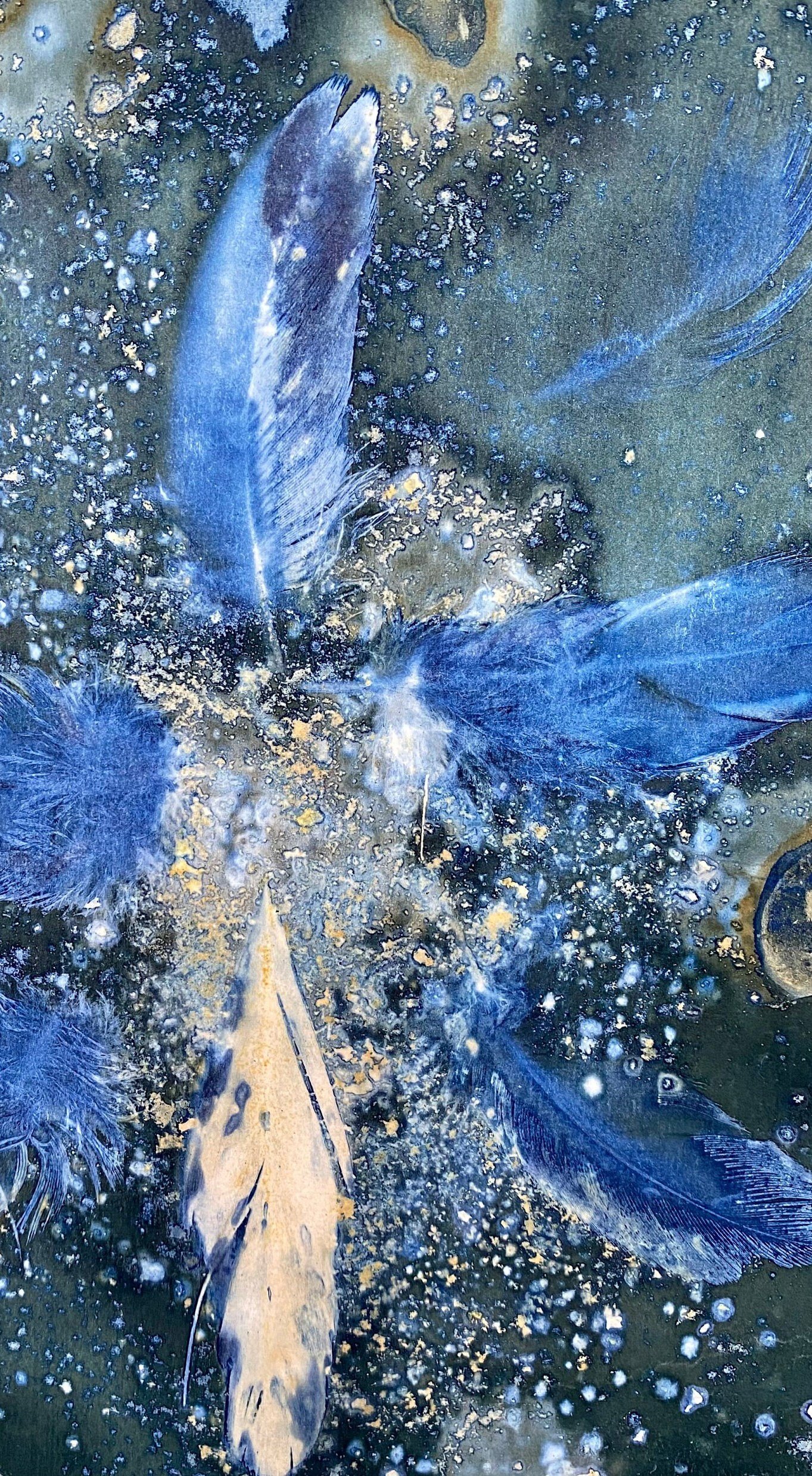 https://i.etsystatic.com/5939594/r/il/0eafcc/4748052417/il_fullxfull.4748052417_6ief.jpg