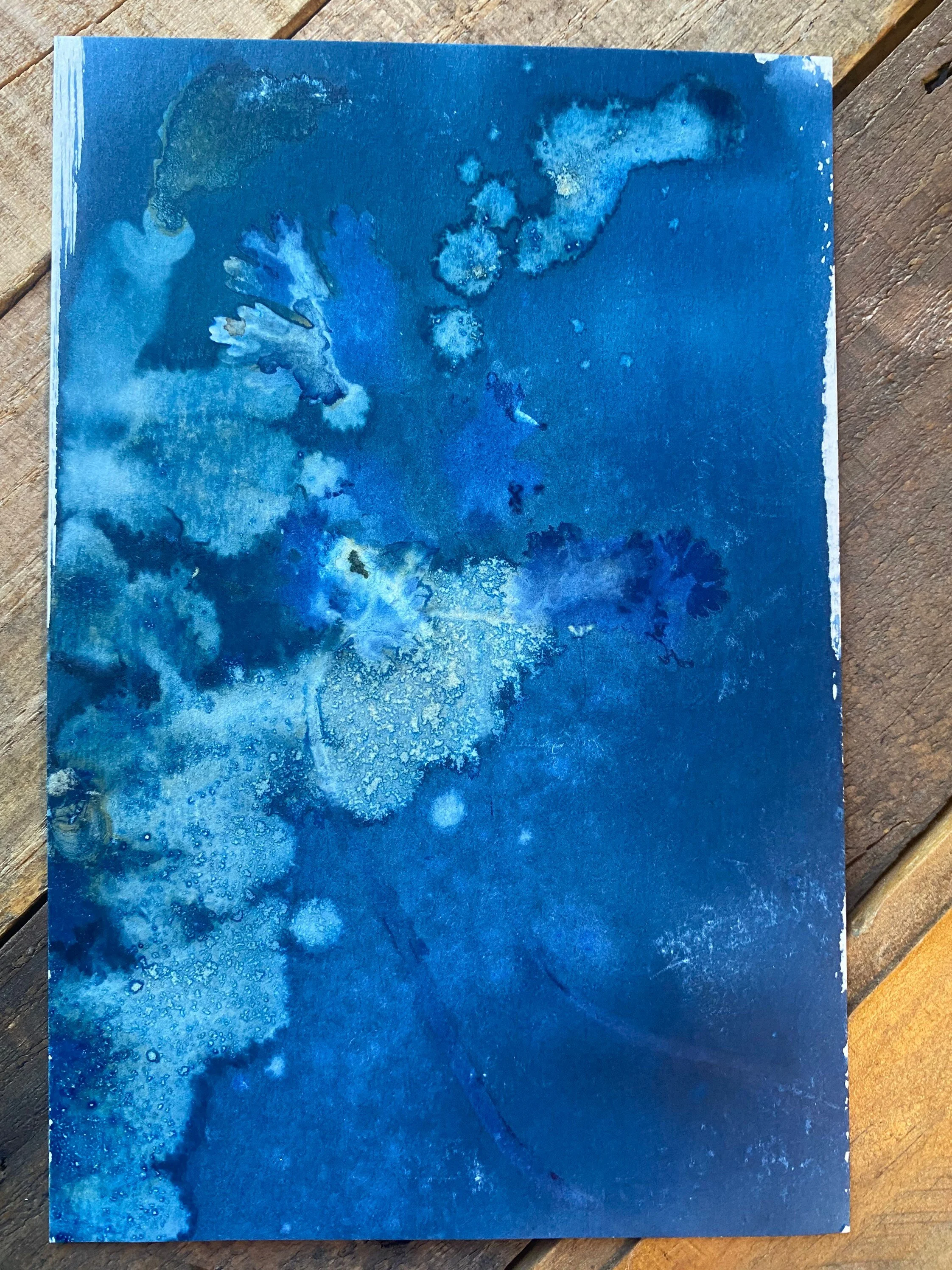 https://i.etsystatic.com/5939594/r/il/392287/4262559733/il_fullxfull.4262559733_am8b.jpg