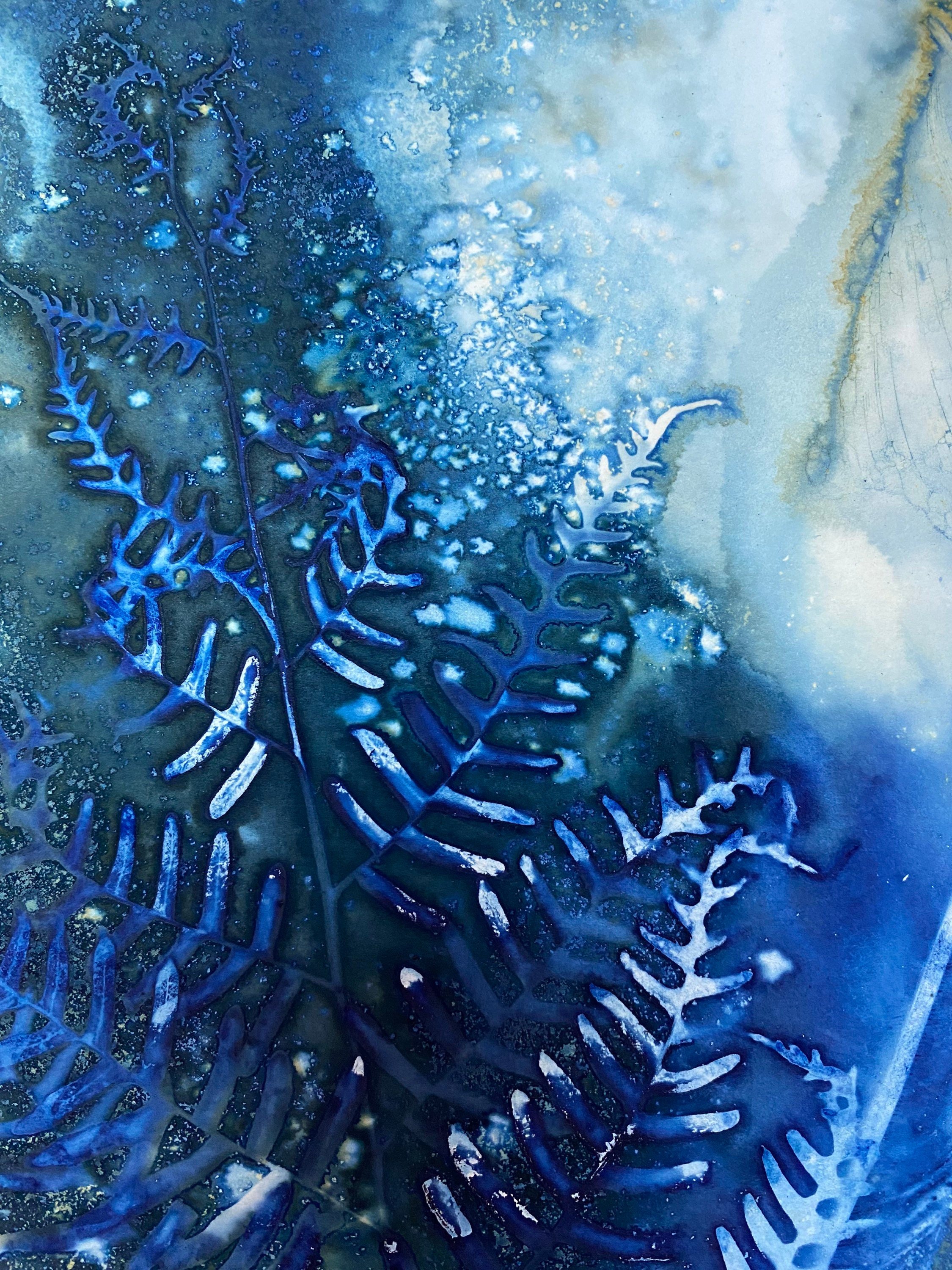 https://i.etsystatic.com/5939594/r/il/a9a154/4414990500/il_fullxfull.4414990500_elac.jpg