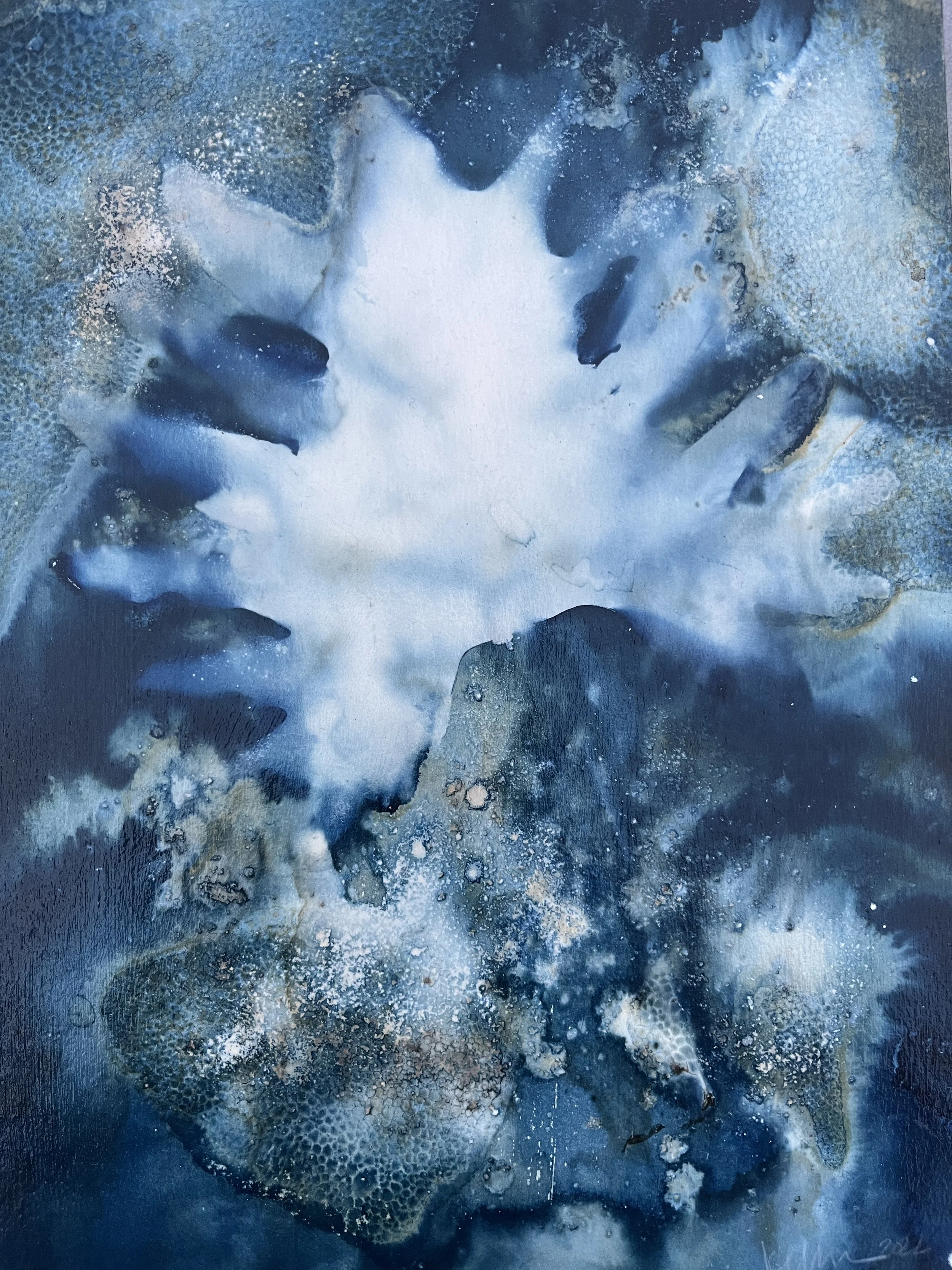 Seasonal Art Shows 2025