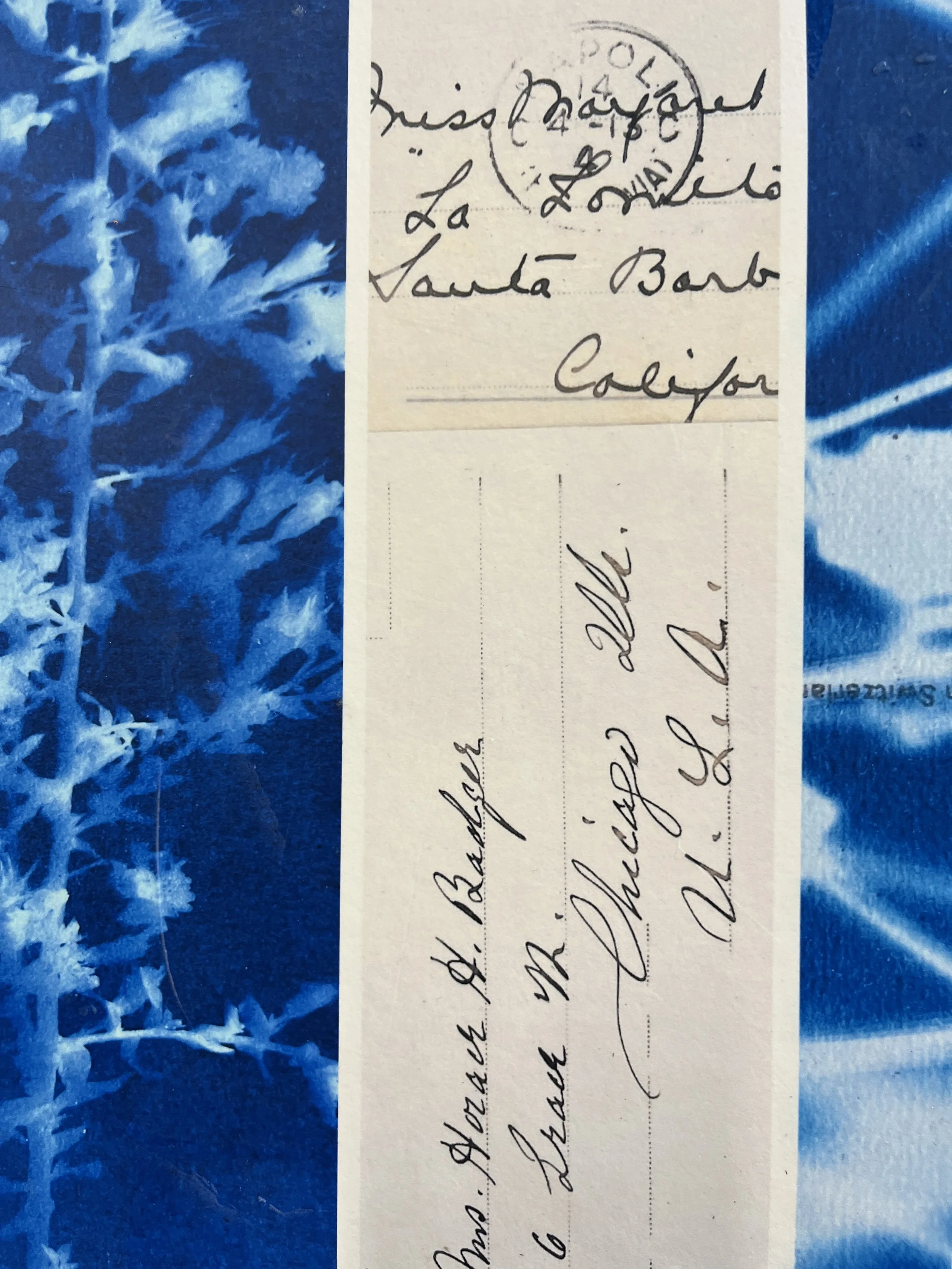 Seasonal Art Shows 2024-25