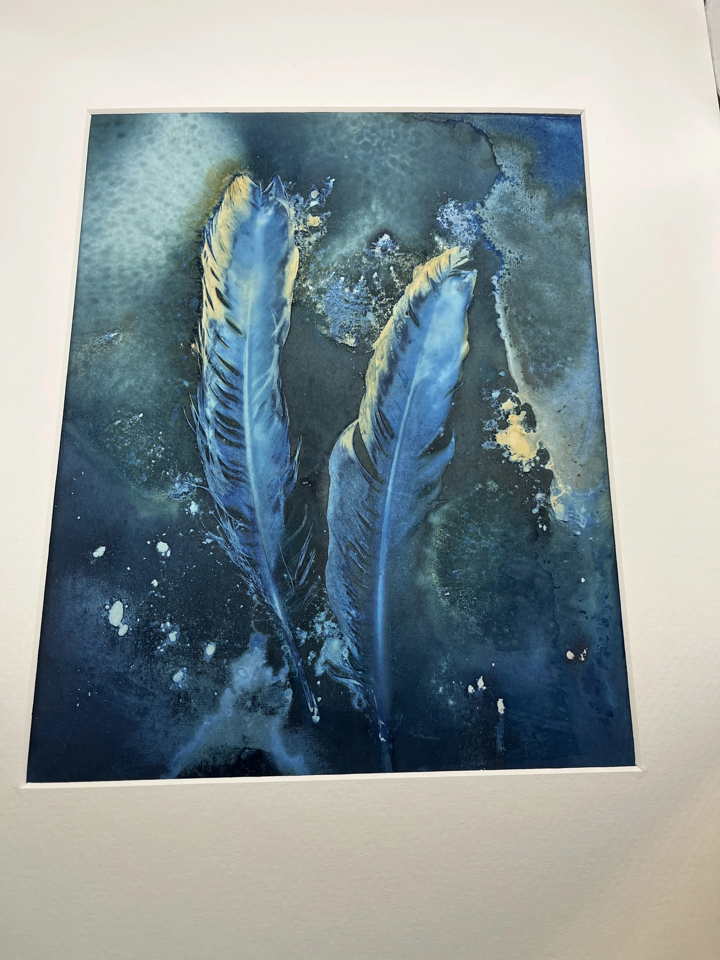 kgb353 goldenedge cyanotype_4542.JPG