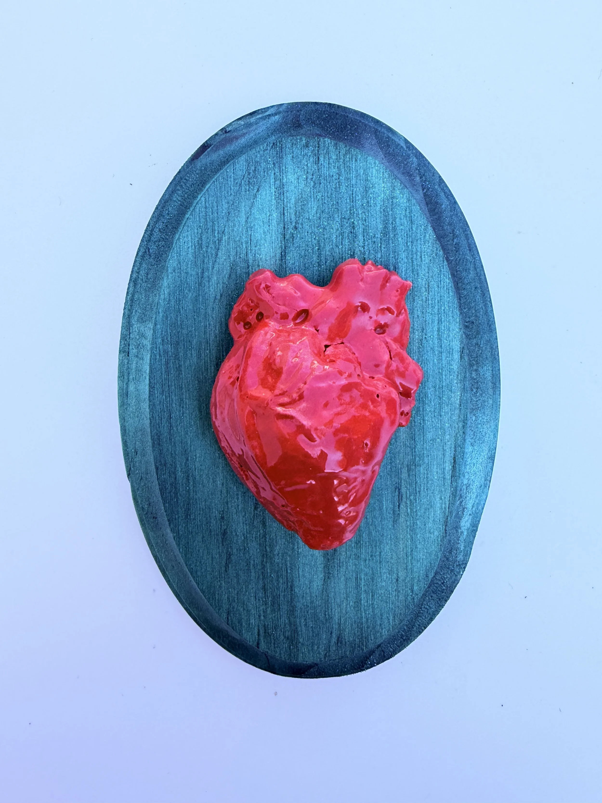 Anatomical RED Heart Shimmering Teal Oval  (he )