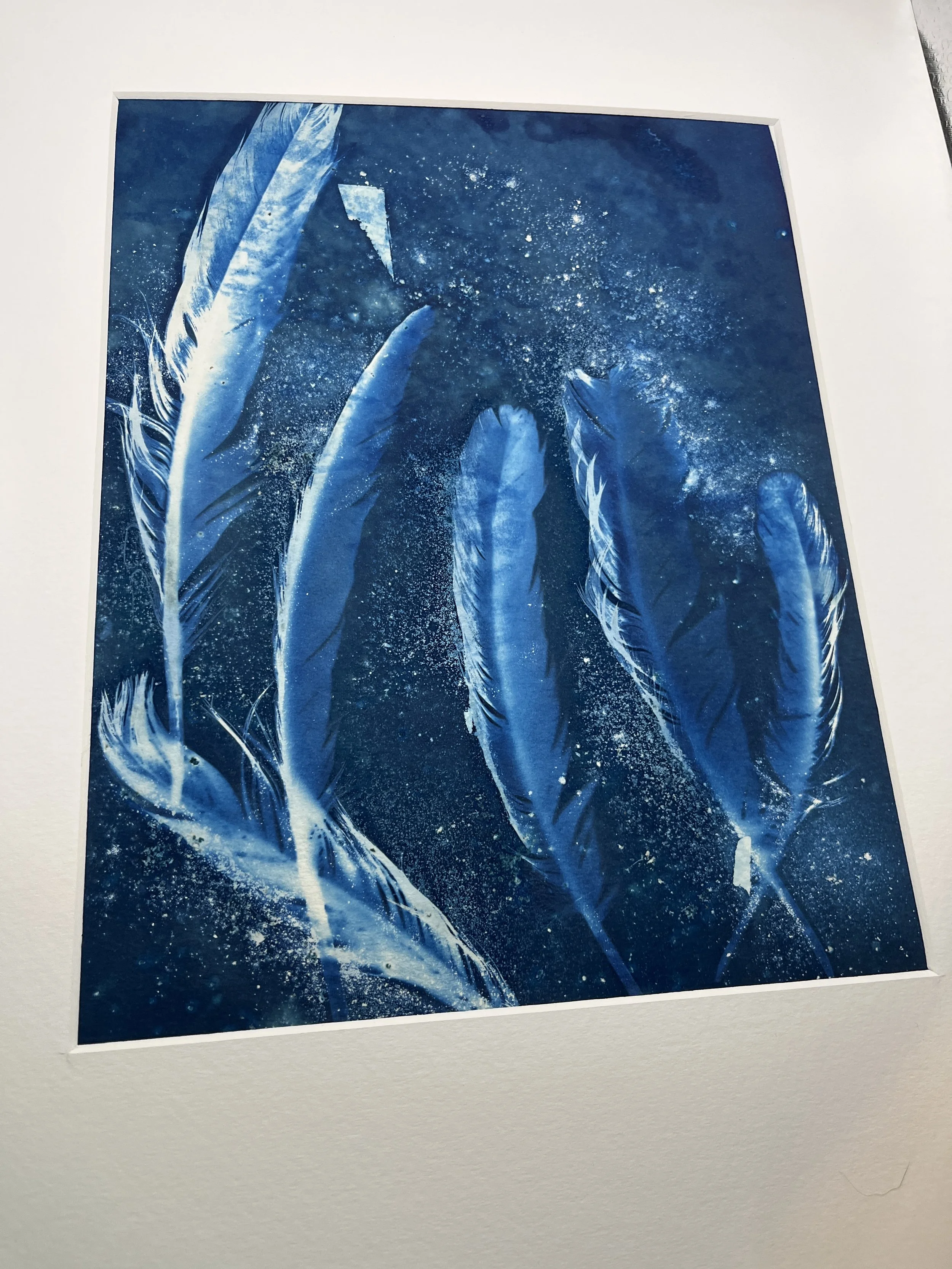 kgb352 6th cyanotype_4552.JPG