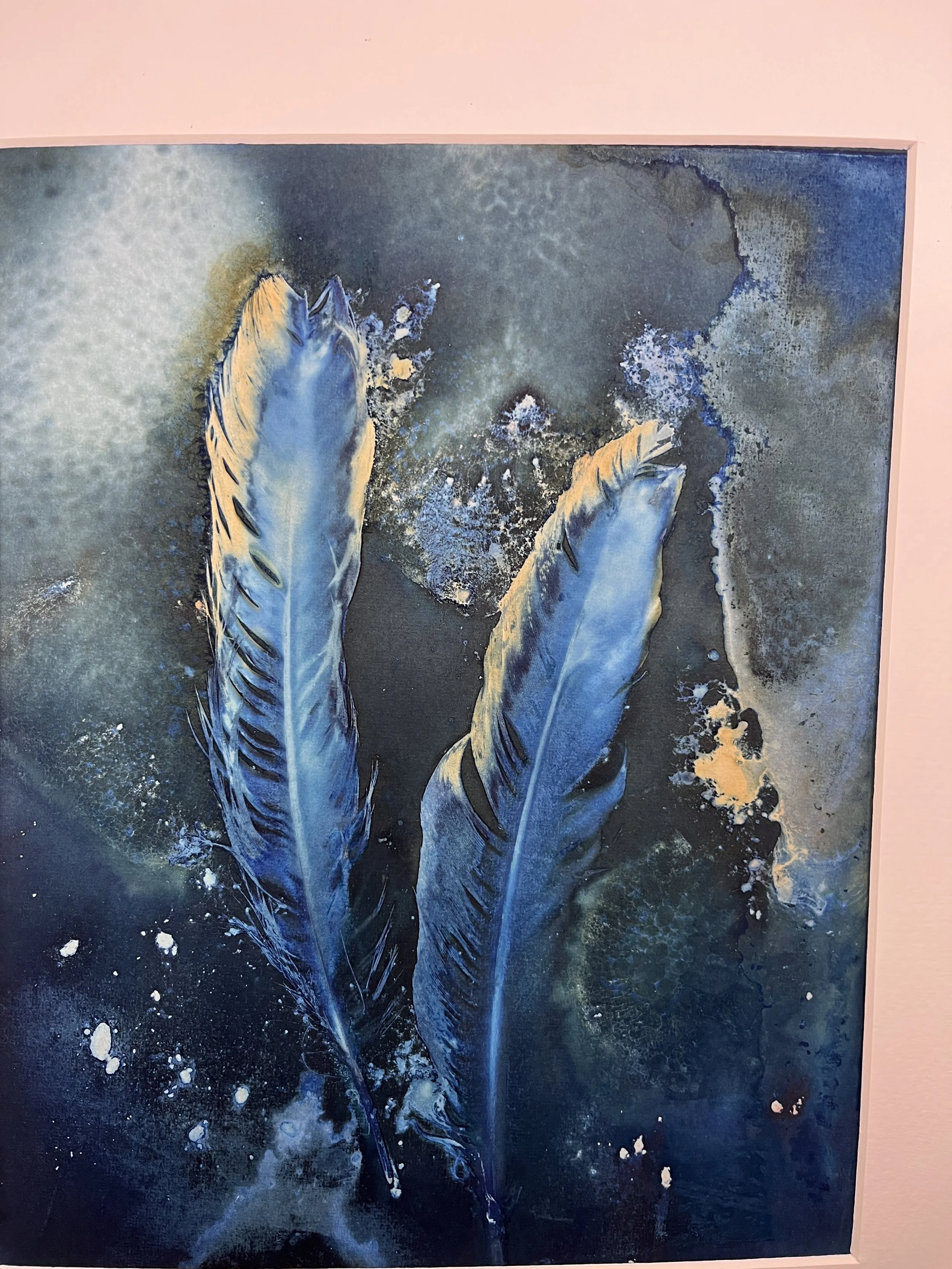 kgb353 goldenedge cyanotype_4543.JPG