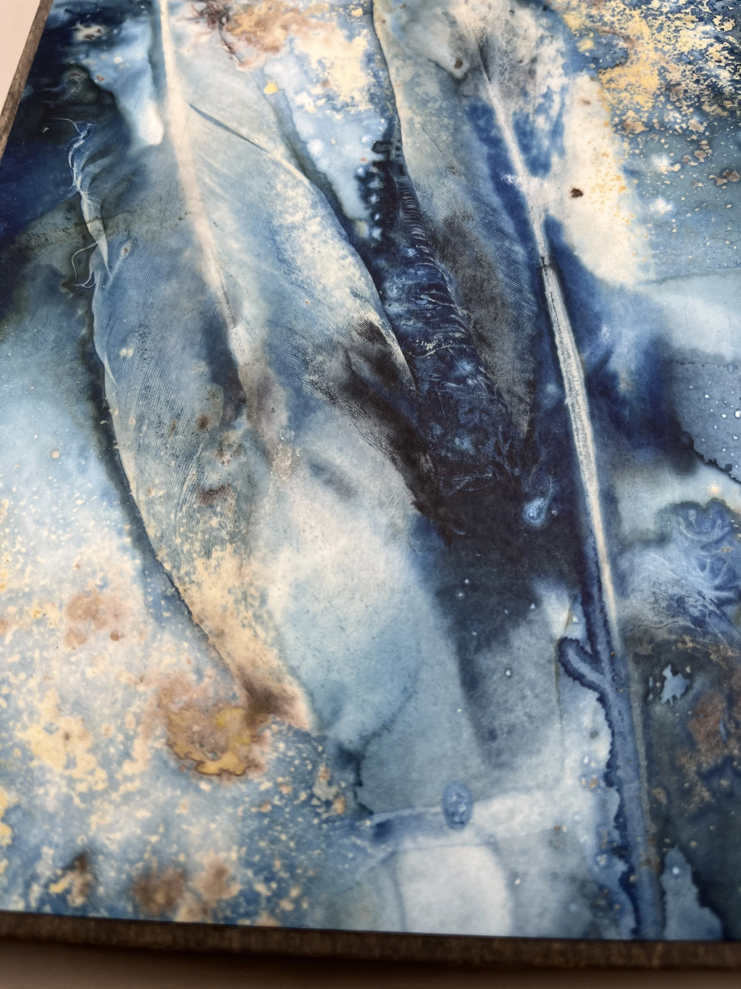 kgb294 2025_1322 2.JPG