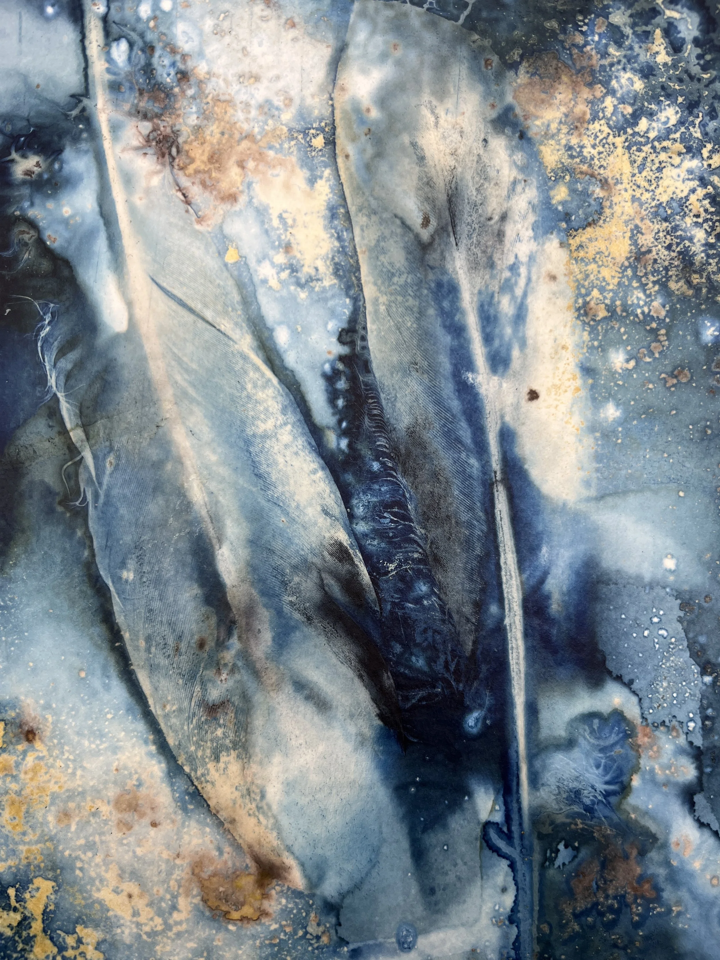 kgb294 2025_1321 2.JPG