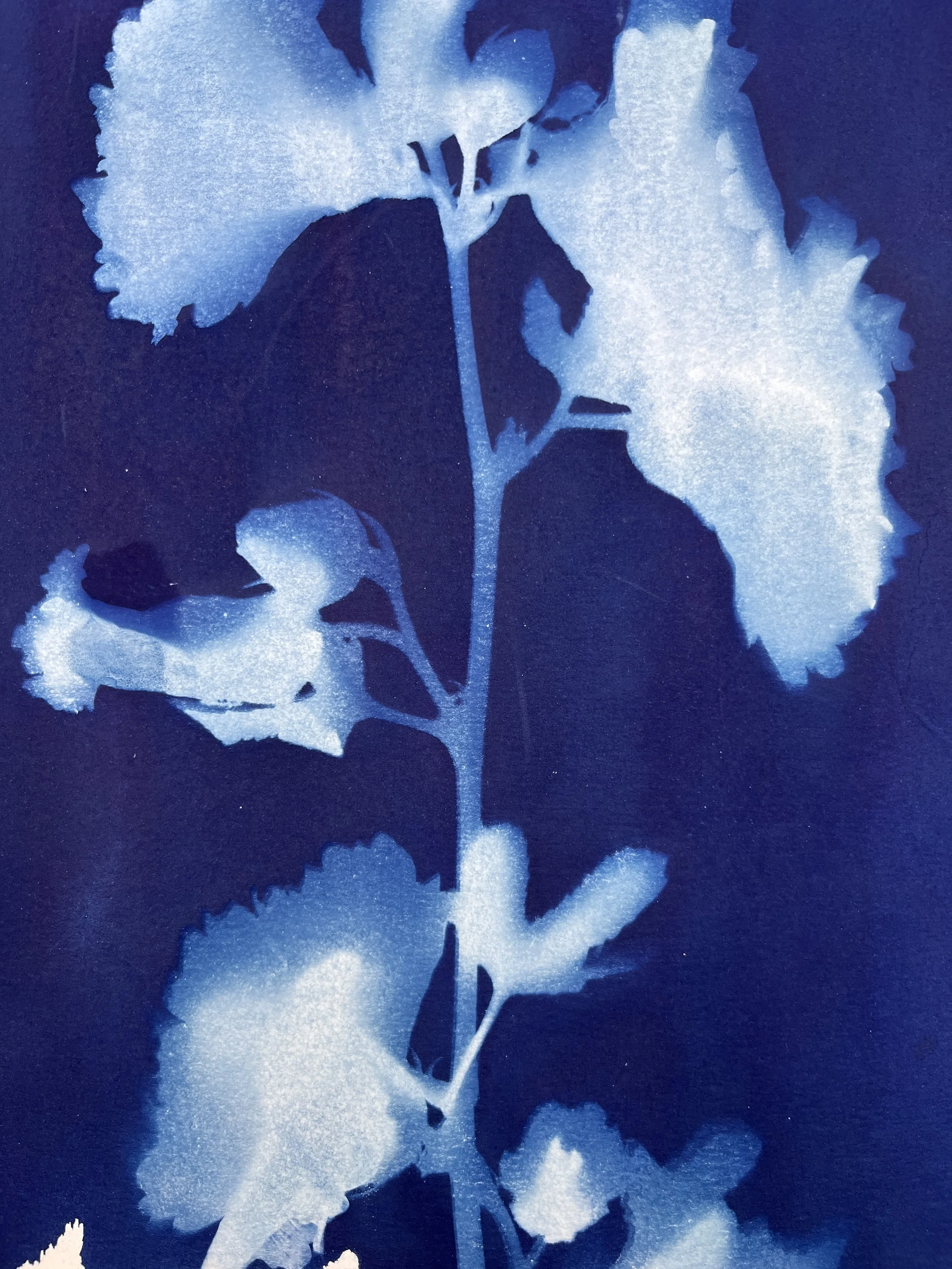 kgb295 2025_1332.JPG